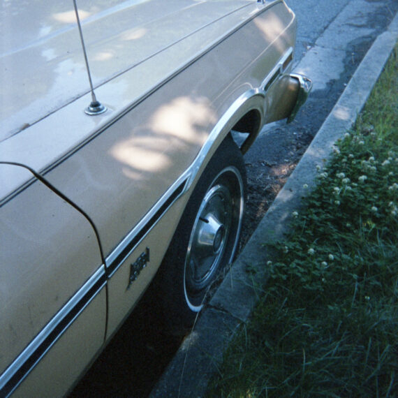 The side of a champagne coloured vintage car parked against a curb. The curb has grass and weeds growing along it. The car is resting underneath the shade. Some light is shining through the leaves, creating random silhouettes on the hood of the car.