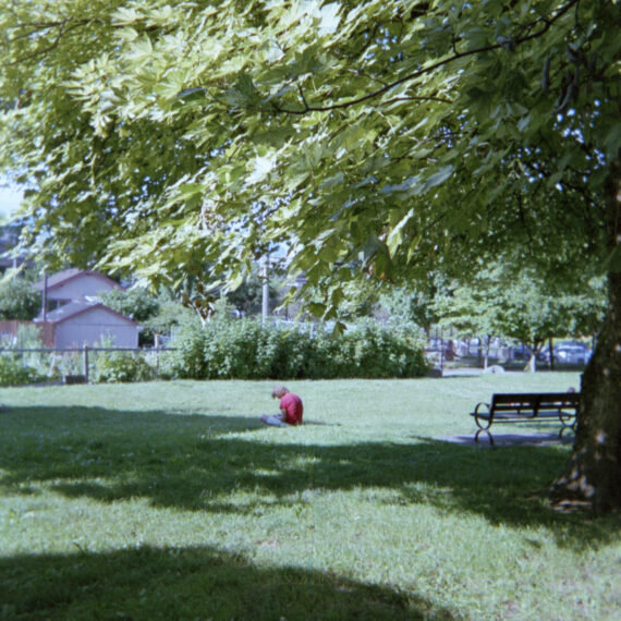 A person wearing a red shirt and jeans is sitting alone in a grassy area underneath the shade of a tree. In the foreground are the branches of a large tree. Behind the person and in front of the tree is a wooden bench.