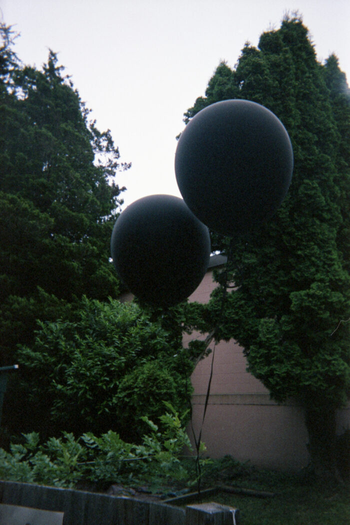 Two big black balloons are tied to a block weighing them down. The balloons are floating among trees and shrubs. Behind a large tree is a brick facade of a building.