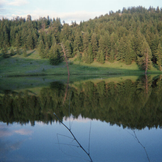A forest of evergreen trees growing along a hill. The water at the foot of the hill is reflecting the forest and the bright blue sky above.