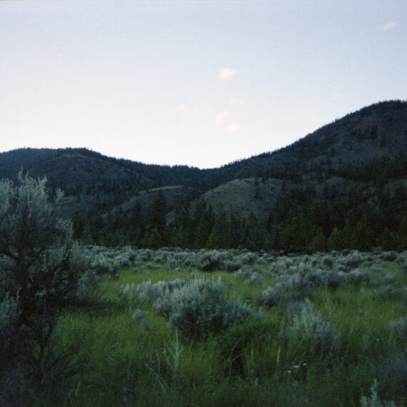 A hill in the distance is covered with evergreen trees. In front of the hill is a grassy field scattered with small shrubs. The sky is pale blue with small round clouds scattered across the horizon.