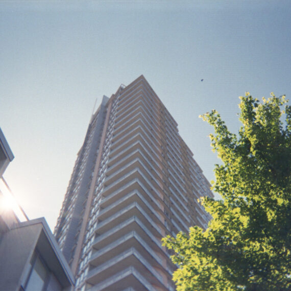Photo of a condo complex from the perspective of someone on street level looking up. Beside it is a building with a flare of sunlight reflecting off the facade. There is a tree with leaves filtered through sunlight next to the building. A bird is flying by the building.