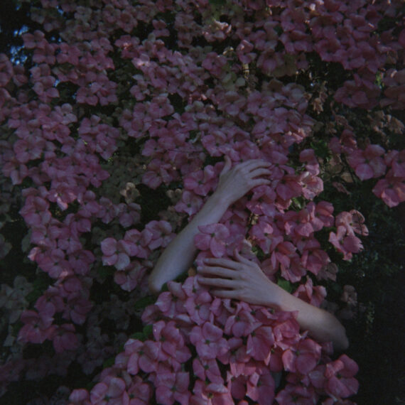 A light skinned person is hugging a cluster of pink flowers growing vertically. Only their two arms are visible throughout the dense growth of pink flowers and leaves.