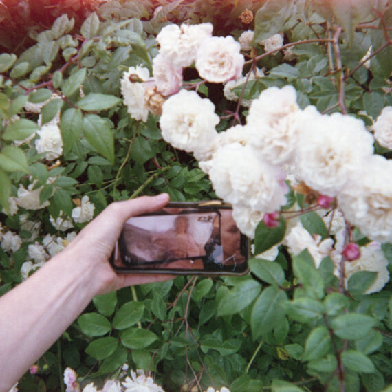 The hand of a light-skinned person is holding out a phone on Facetime among clusters of white flowers with green leaves and red stems. The phone screen shows another phone on Facetime with an older woman, next to the face of another older woman. There is a slight red light leak at the top left corner of the photo.