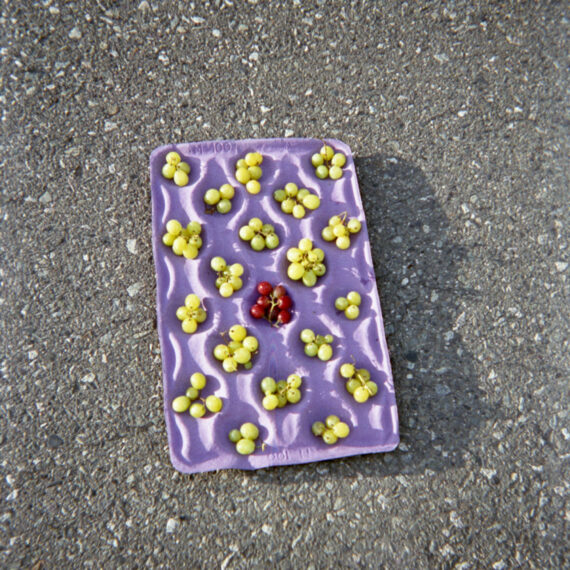 Purple paper fruit packaging tray liner on the concrete. Each divot of the tray contains a small bunch of green grapes. In the centre of the tray is a small bunch of red grapes.