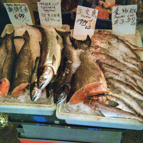 Colour photo of whole fish and beheaded fish resting on ice. Behind the fish are white handwritten signs with the prices of the fish.
