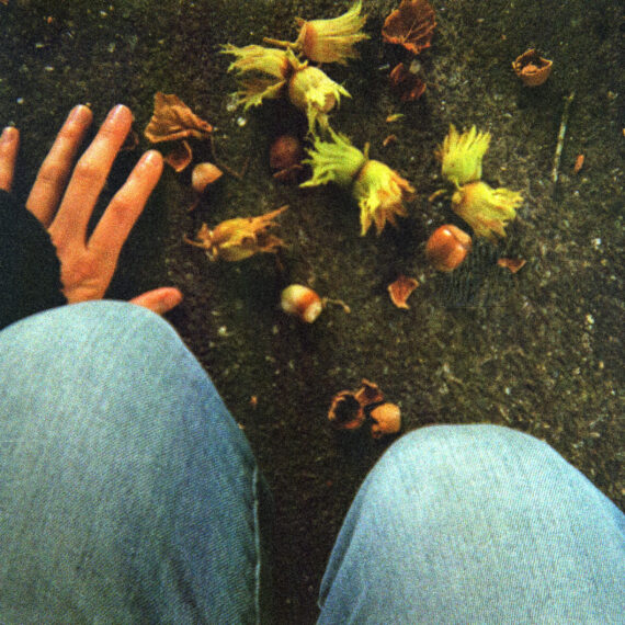 Photo of a person's hands and knees on the pavement. The hand is resting next to fallen acorns and leaves on the pavement. The photo is taken from the perspective of someone looking down at their knees. The person is wearing blue jeans.