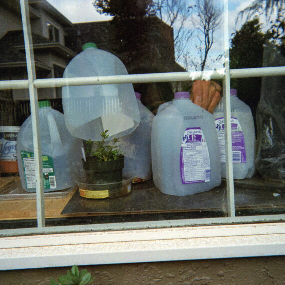 Photo peering inside a window sill arranged with a few cut milk jugs. The jugs are covered potted plants like a makeshift greenhouse. There is hand lifting a milk jug off a plant.