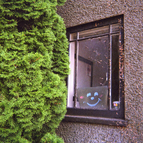 Photo of a tall bush next to a window of a house. In the window is a green seat cushion with a blue smiley face drawn on it. It looks as though the window is smiling.