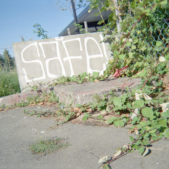 Photo of a concrete block spray painted with white text that reads "SAFE!" The concrete block is surrounded by overgrown weeds and thorny bushes.