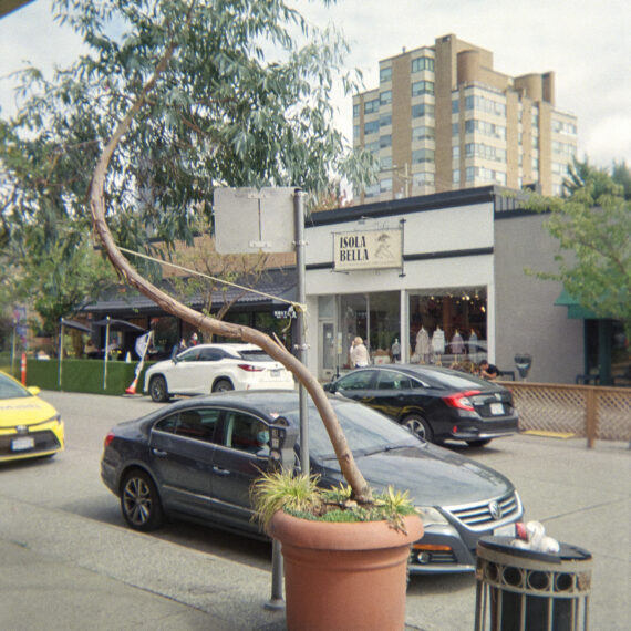 Colour photo of a potted tree next to a trash can and a parked car. The tree is growing crooked. The tree trunk is tied to the pole of a street sign next to it with string.