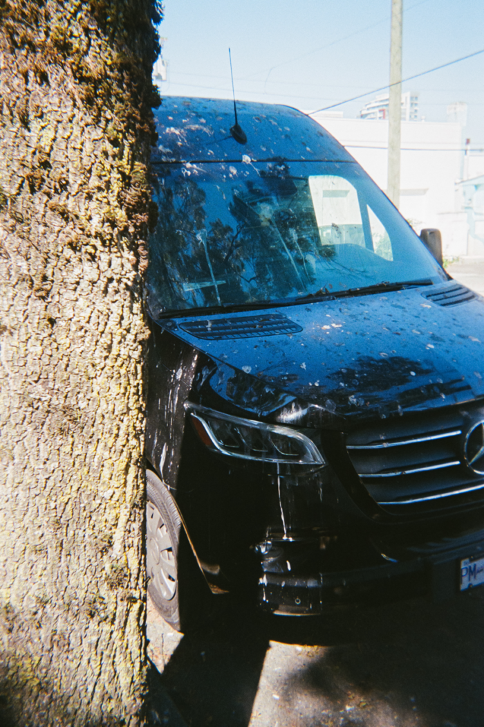 The front of a tall black cargo van sits in the shade, parked next to a tree on a sunny day. The black van is spotted with dozens of white bird droppings.