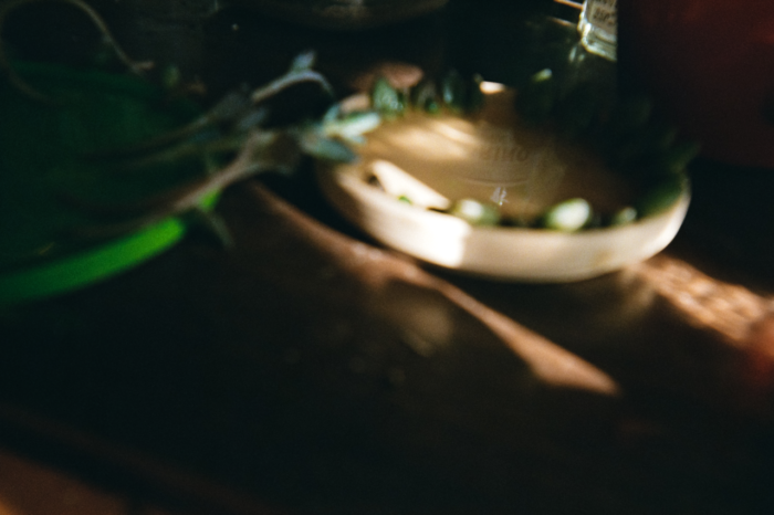 An out of focus photo of round container lids with sprigs and leaves of plants. In the reflection of water in one of the lids, the label of a bottle out of frame is in focus.
