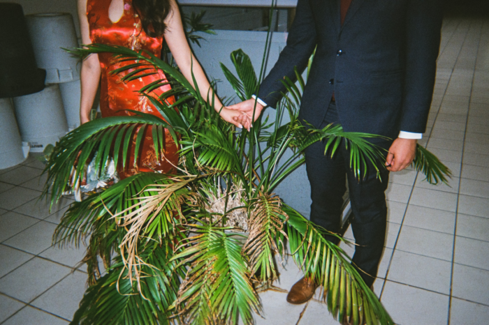 Two people with their heads out of frame, one in a sleevless red dress, the other in a dark suit, stand next to each other holding hands. Between them on the white tile floor, large fronds of a palm plant spread between and in front of them.