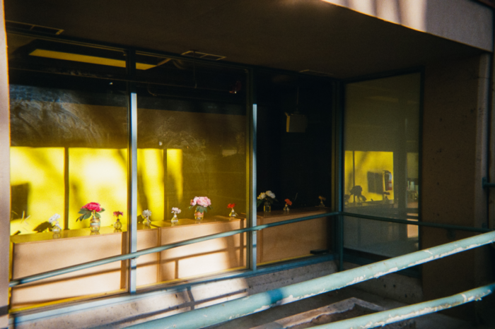 The windows of a business set into a niche of the building with rails for a gradual ramp. Sunlight through the windows light up blocks of a yellow wall behind low cabinets or shelves in front of the windows. Spread across the low surface is a line of flowers in small spherical vases and larger jars of water.
